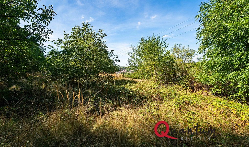 Prodej stavebního pozemku 16 339 m², Brandýsek – náhled fotky 53