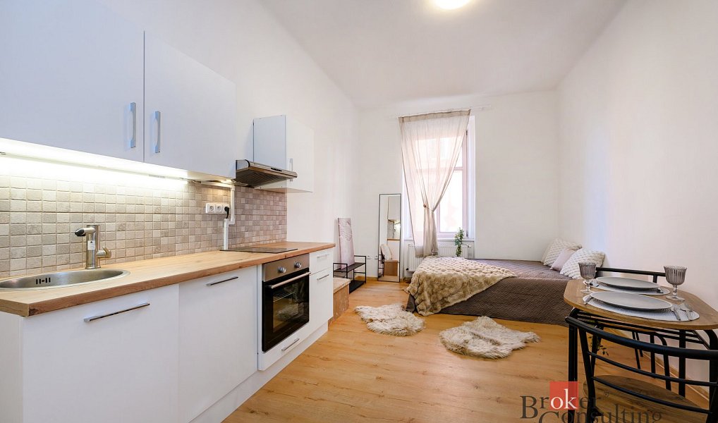 Prodej bytu 1+kk, 27 m², Jižní Předměstí, Plzeň-město, Plzeň