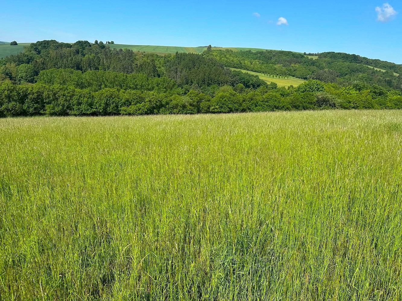 Prodej louky 8 138 m² – pohled 3