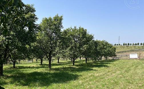 Prodej stavebního pozemku 1 269 m², Soběsuky - Milovice, okres Kroměříž