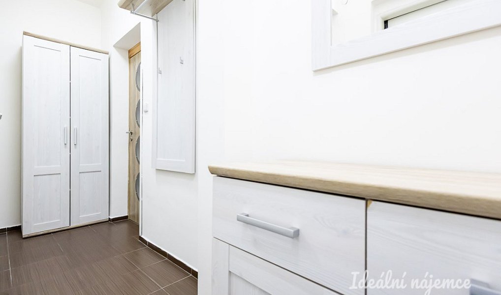 Pronájem bytu 2+kk 40 m², Praha – náhled fotky 8