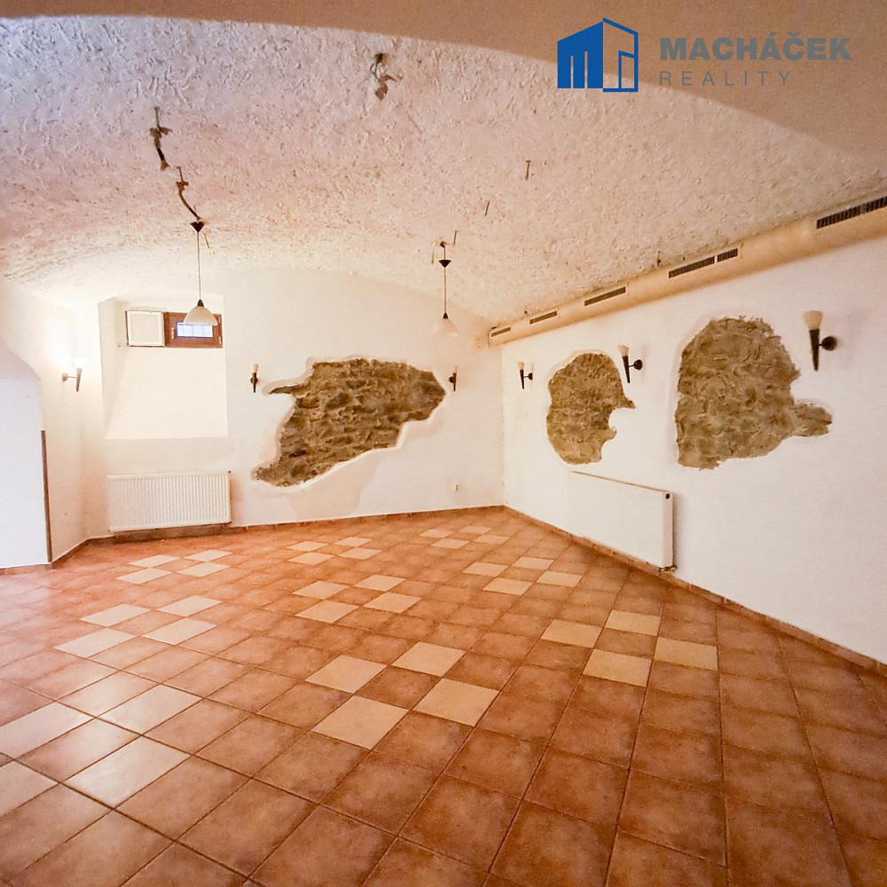 K pronájmu sklepní prostory se zahradou v centru Ústí nad Labem (360 m²), ulice Horova 1389/12. – další