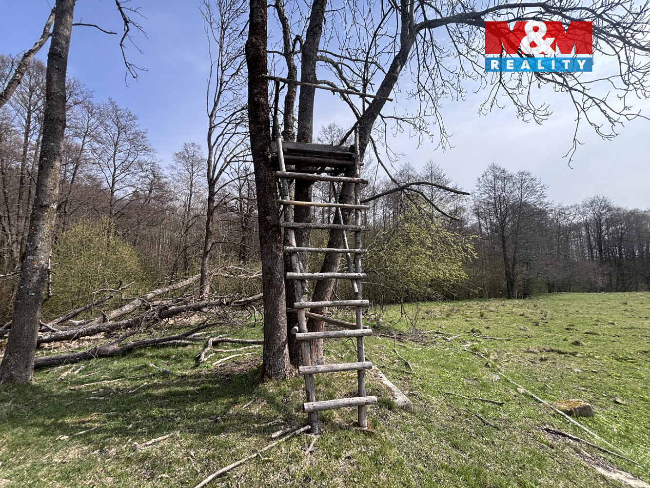 Prodej louky 545 m² – fotografie 3