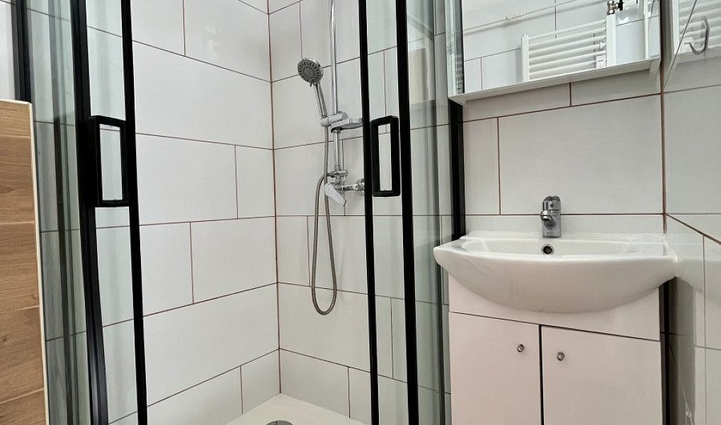 Pronájem bytu 1+1 28 m², Ostrava – náhled fotky 5