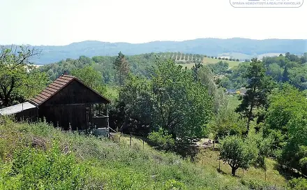 Ostatní