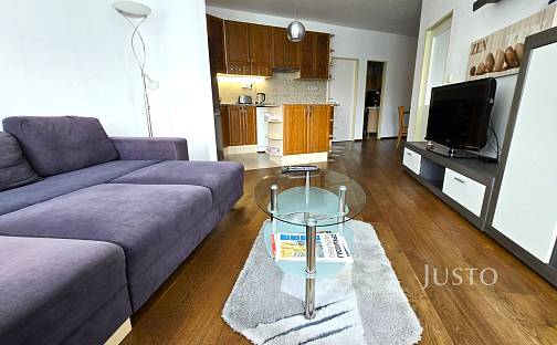 Pronájem bytu 3+kk 68 m², V Portyči, Písek - Pražské Předměstí