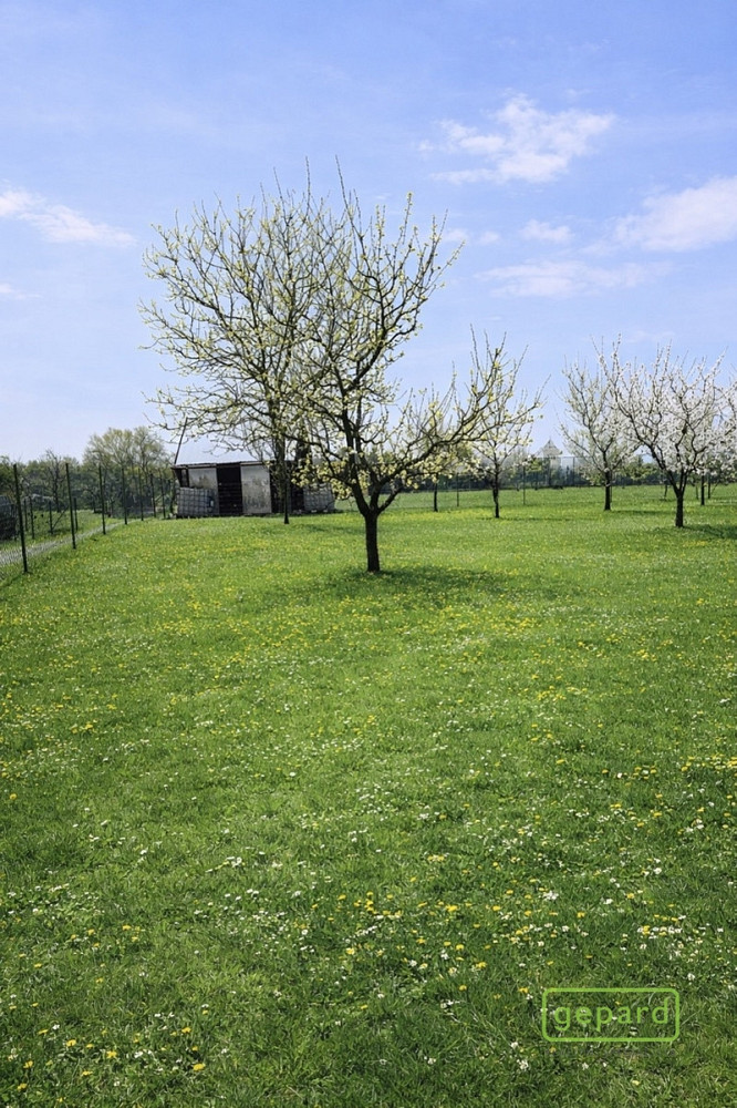Prodej pozemku 878 m²