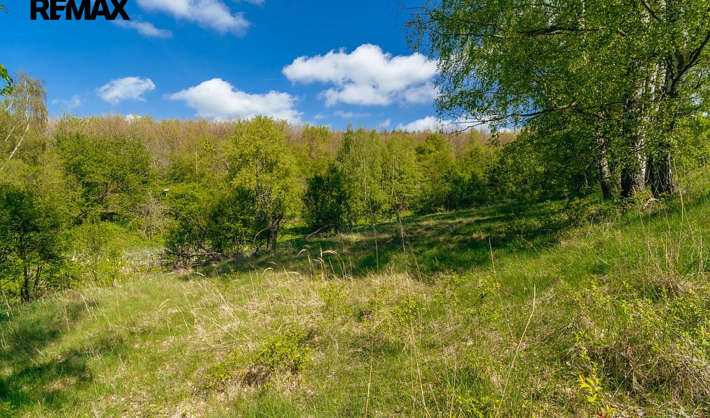 Prodej vodní plochy 8 716 m², Střítež – náhled fotky 6