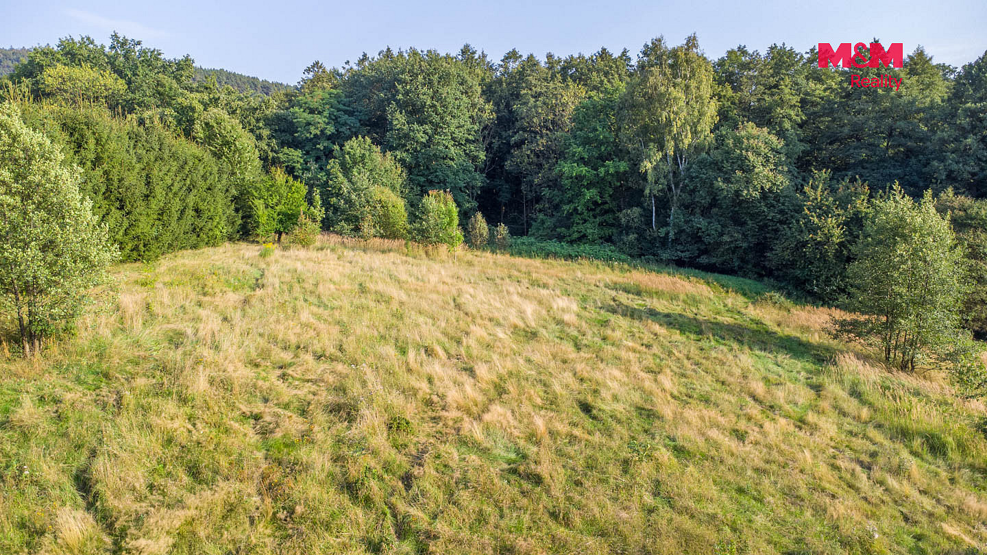 Prodej louky 5 500 m² – fotografie 4