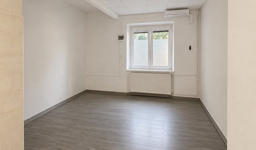 Pronájem obchodních prostor 54 m², Uherský Brod – náhled fotky 5