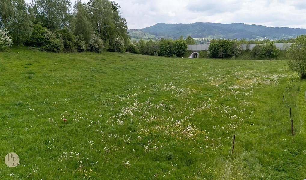 Prodej stavebního pozemku 1 579 m², Bocanovice – náhled fotky 10