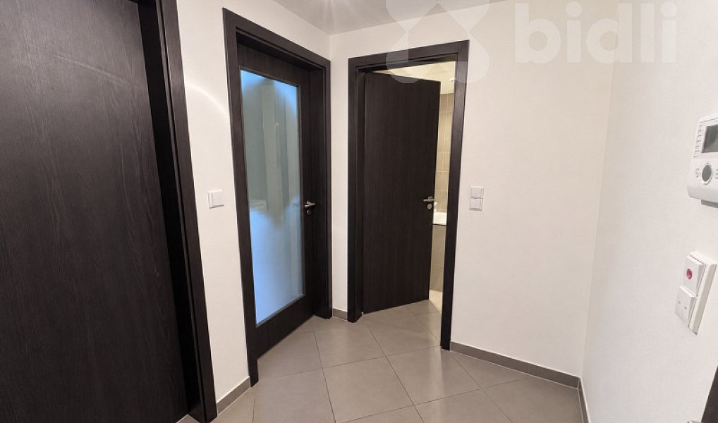 Pronájem bytu 2+kk 55 m², Praha – náhled fotky 7