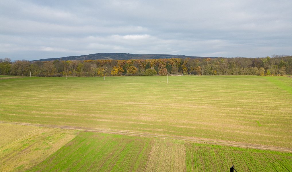 Prodej stavebního pozemku 3 803 m², Přísnotice – náhled fotky 4