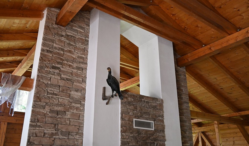 Prodej komerčního objektu (jiného typu) 5 700 m², Lomnice – náhled fotky 7