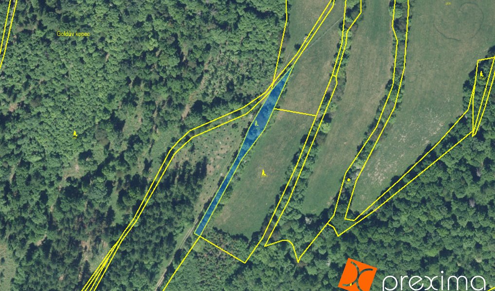 Prodej lesa 1 293 m², Jindřichov – náhled fotky 3