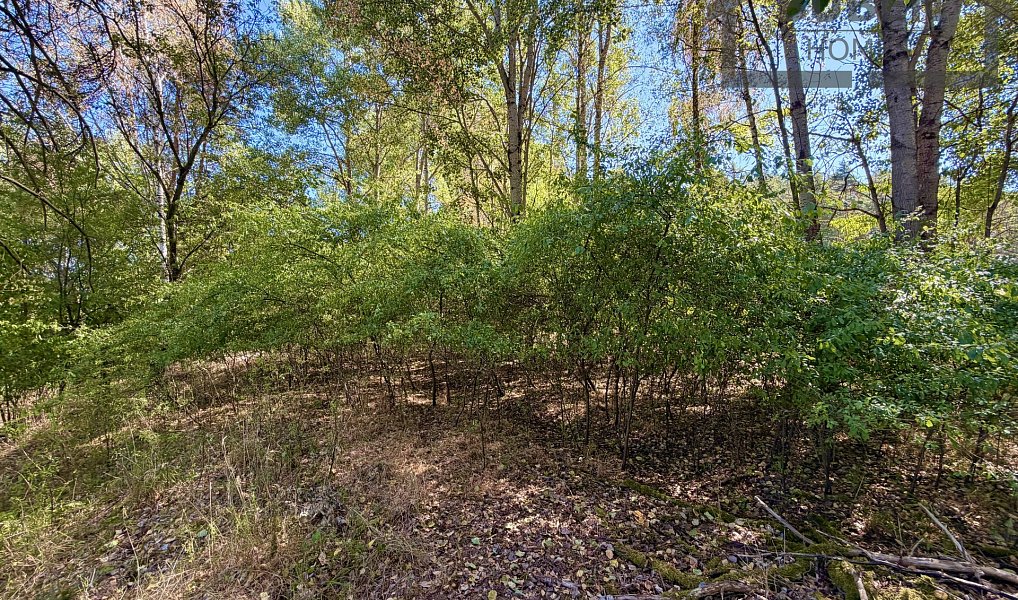 Prodej stavebního pozemku 894 m², Přimda – náhled fotky 4