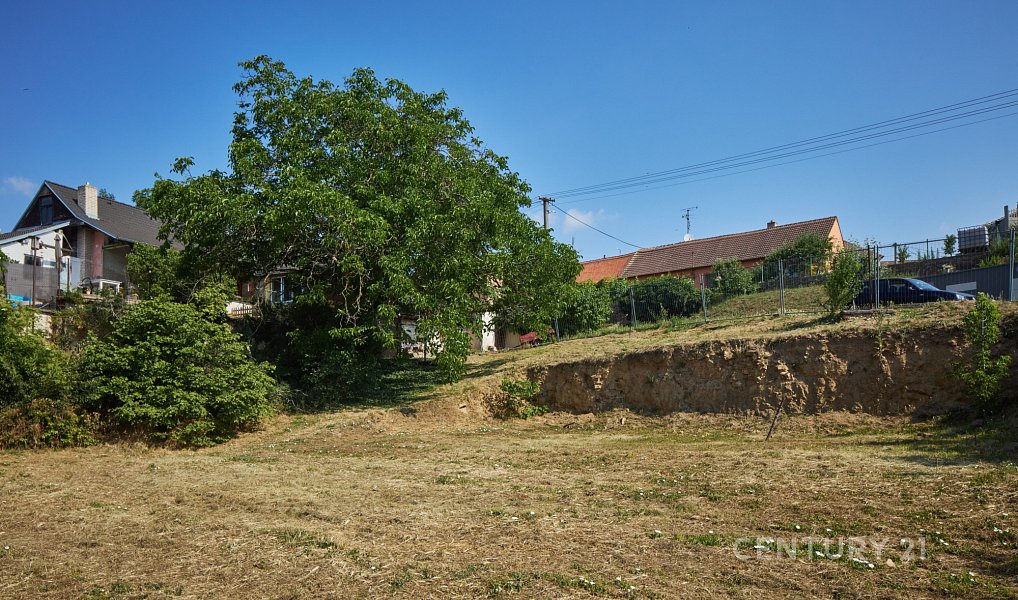 Prodej stavebního pozemku 854 m², Tasovice – náhled fotky 12