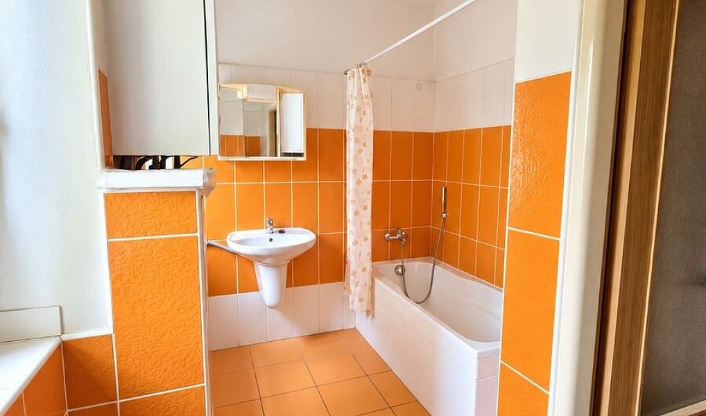 Pronájem bytu 1+kk 30 m², Bílina – náhled fotky 8