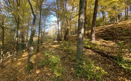 Dražba pozemku 2 828 m², Radčice