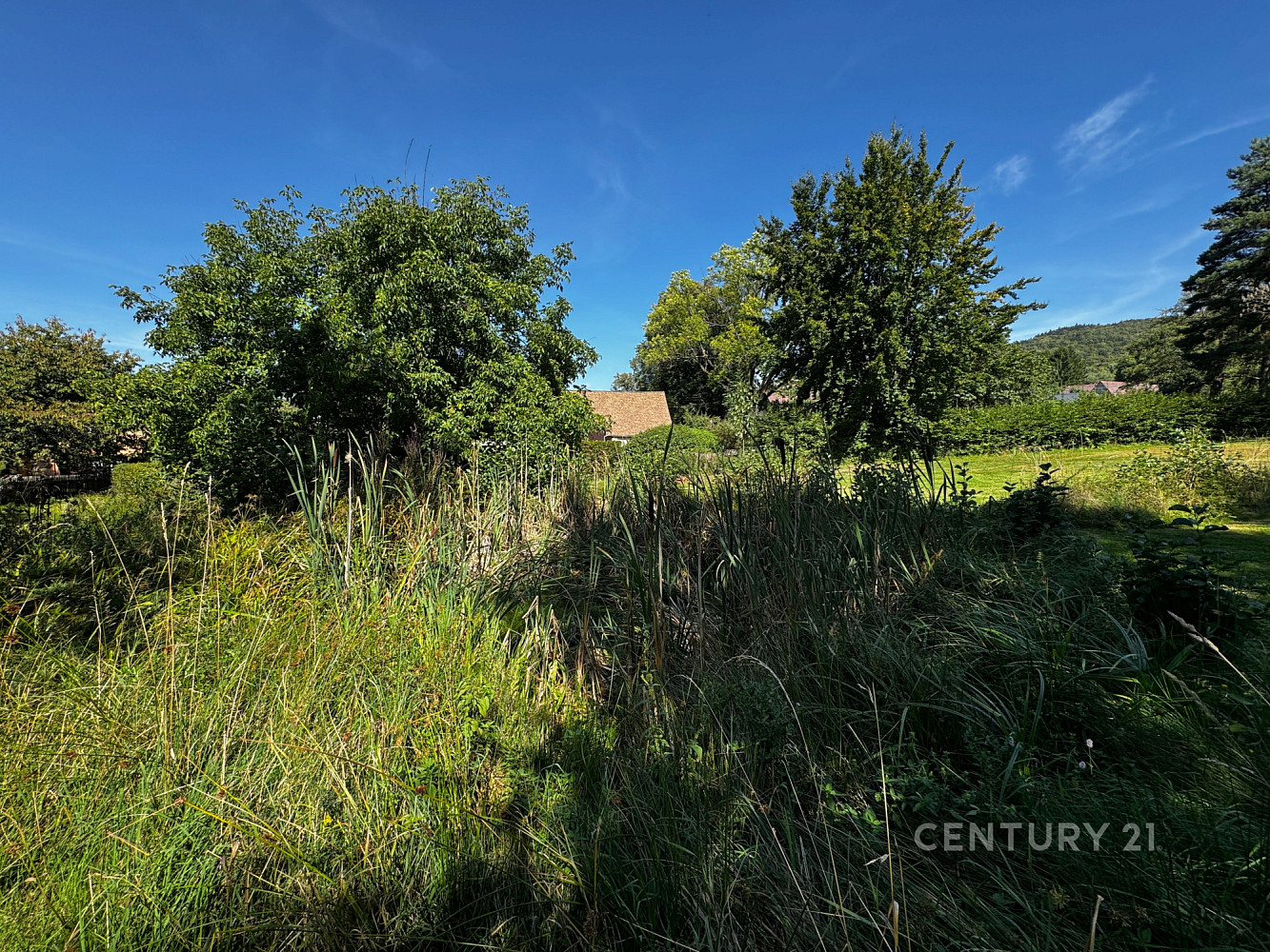 Prodej stavebního pozemku 3 702 m² – fotografie 5