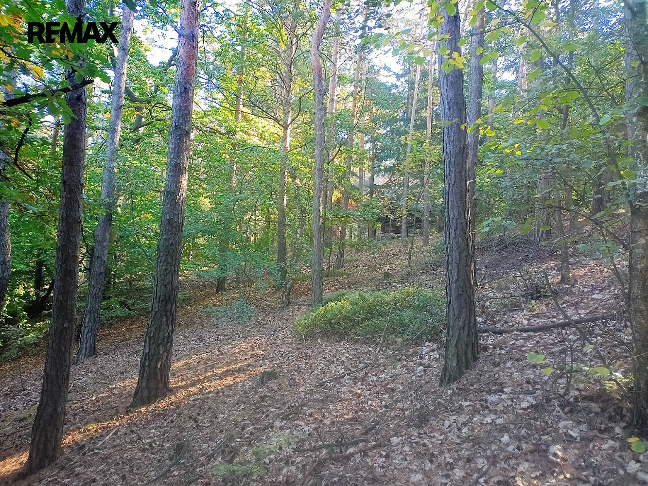Fotka 11 z 22