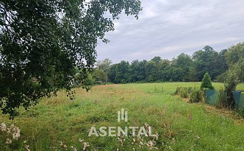 Prodej pozemku 3 695 m², Lidická, Orlová - Poruba, okres Karviná