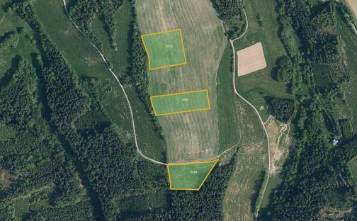 Prodej pole 27 556 m², Jílové u Držkova, okres Jablonec nad Nisou