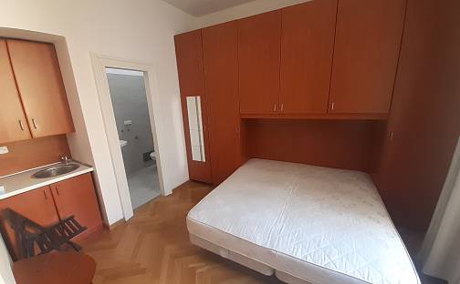 Pronájem bytu 1+kk 18 m², Masná, Praha 1 - Staré Město