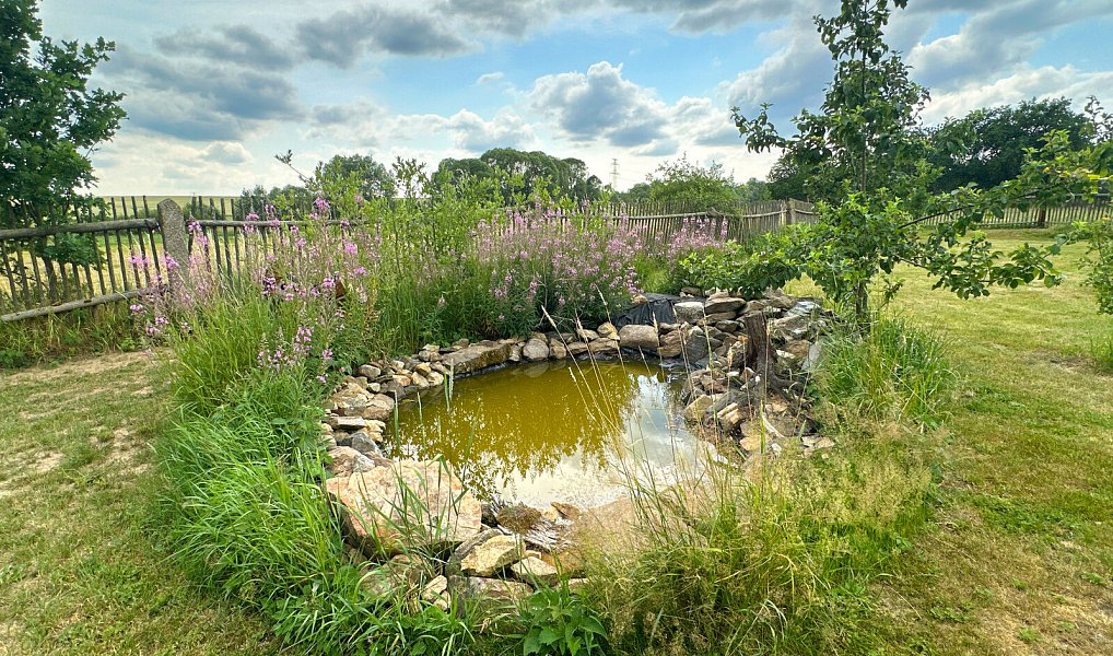 Prodej domu 300 m² s pozemkem 3 129 m², Přimda – náhled fotky 45