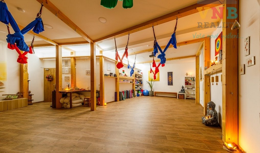 Prodej komerčního objektu (jiného typu) 205 m², Prostějov – náhled fotky 5