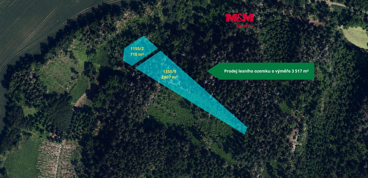 Prodej lesa 3 517 m²