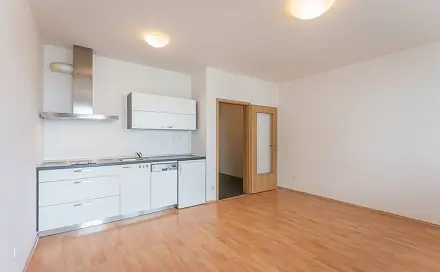 Pronájem bytu 1+kk 40 m²