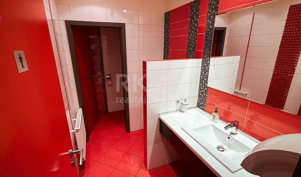 Pronájem komerčního objektu (jiného typu) 734 m², Velká Hleďsebe – náhled fotky 12