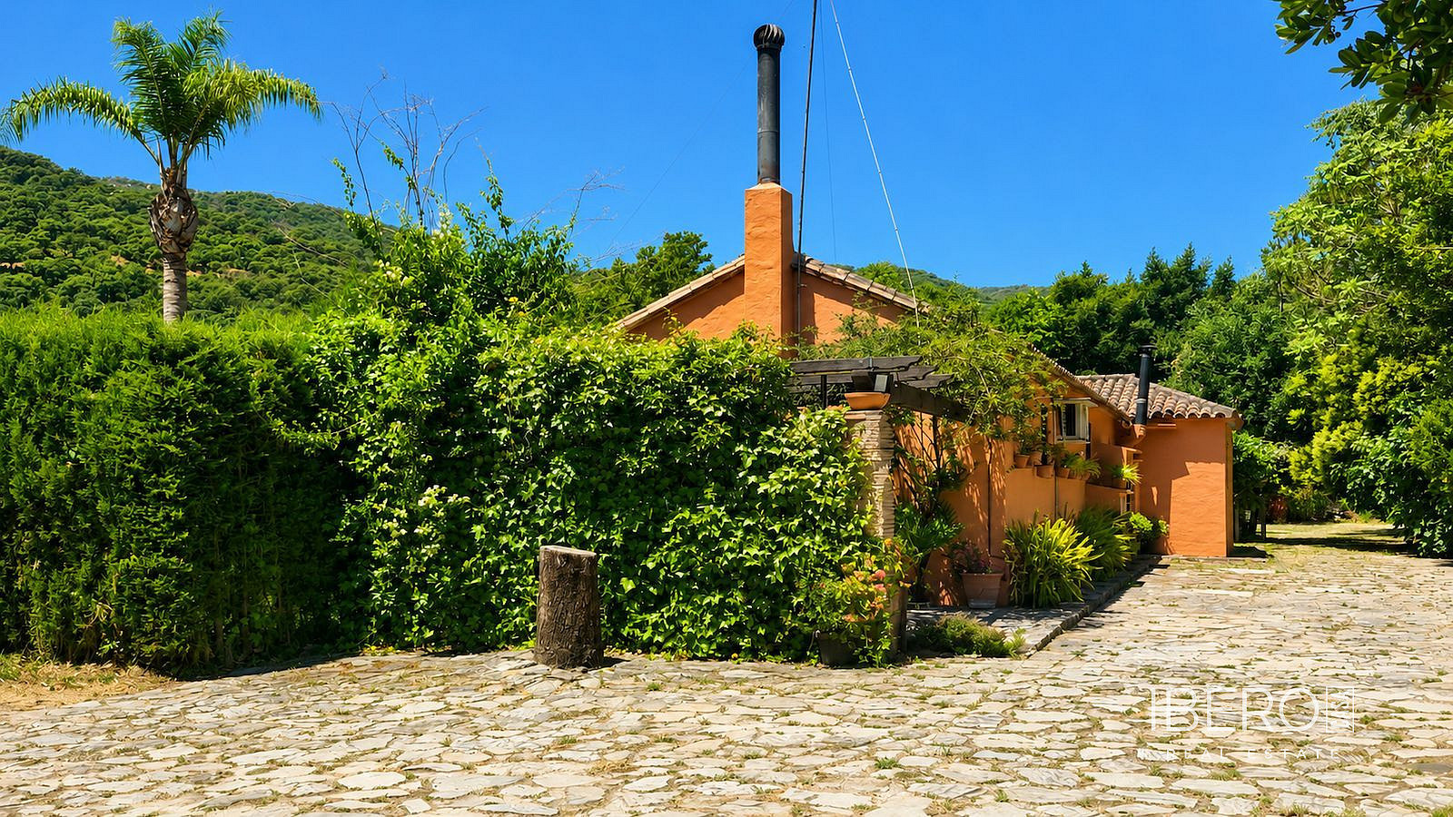 Fotka 7 z 15