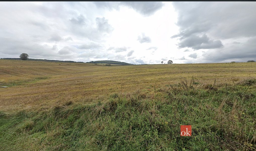 Prodej pole 43 309 m², Nová Ves – náhled fotky 4