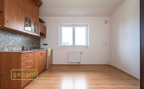 Prodej bytu 1+kk 17 m², Revoluční, Šestajovice, okres Praha-východ
