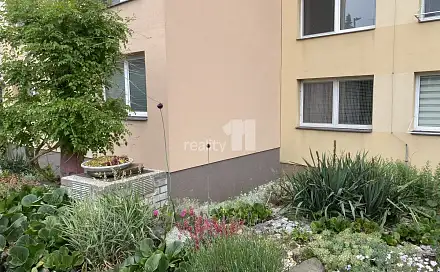 Pronájem bytu 1+kk 30 m²