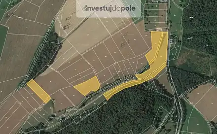 Prodej pole 14 459 m², Proseč pod Ještědem - Javorník, okres Liberec