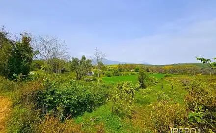 Prodej domu 51 m² s pozemkem 5 400 m², Coín, Španělsko