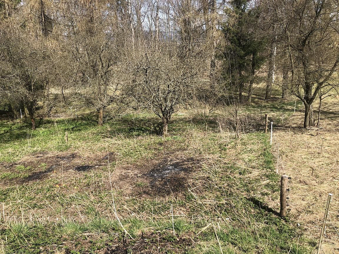 Prodej stavebního pozemku 1 998 m² - Widok 6
