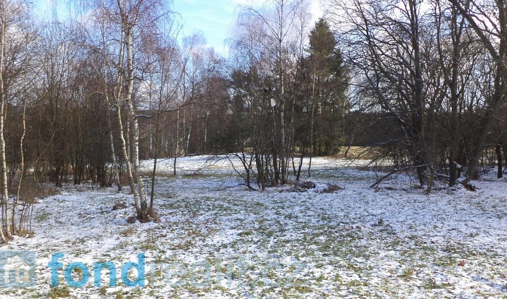 Prodej pozemku 3 575 m², Staré Město pod Landštejnem – náhled fotky 8