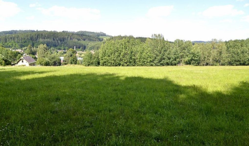 Prodej pole 47 177 m², Stará Paka – náhled fotky 2