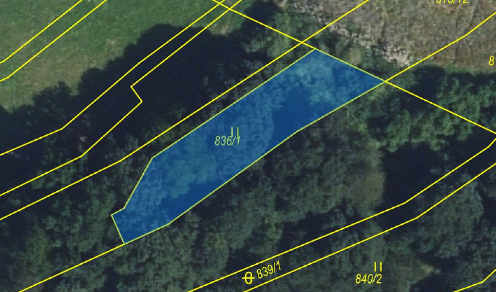 Prodej louky 502 m², Vranová Lhota – náhled fotky 3
