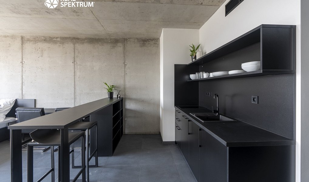 Pronájem bytu 1+kk 35 m², Brno – náhled fotky 7