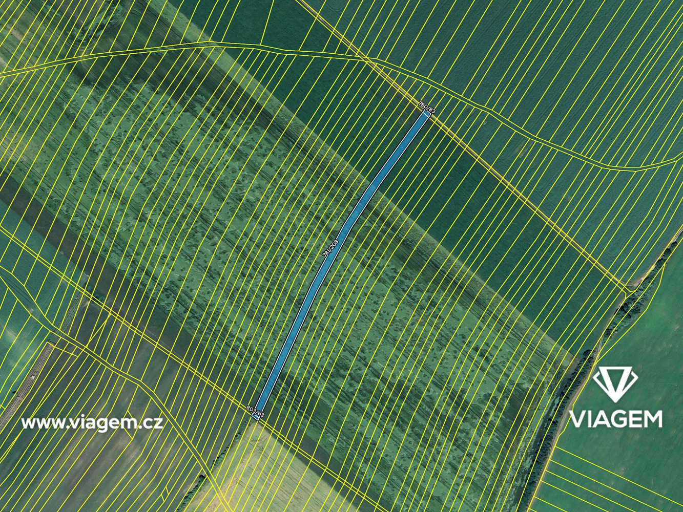 Prodej pole 645 m² – fotografie 4