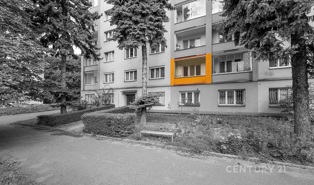 Prodej bytu 2+1 52 m², Praha – náhled fotky 16