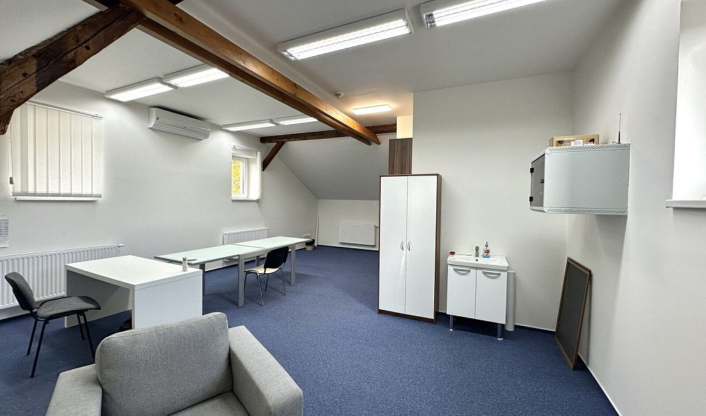 Prodej obchodních prostor 1 076 m², Lutonina – náhled fotky 24