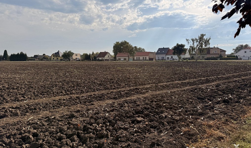 Prodej stavebního pozemku 25 590 m², Terezín – náhled fotky 10
