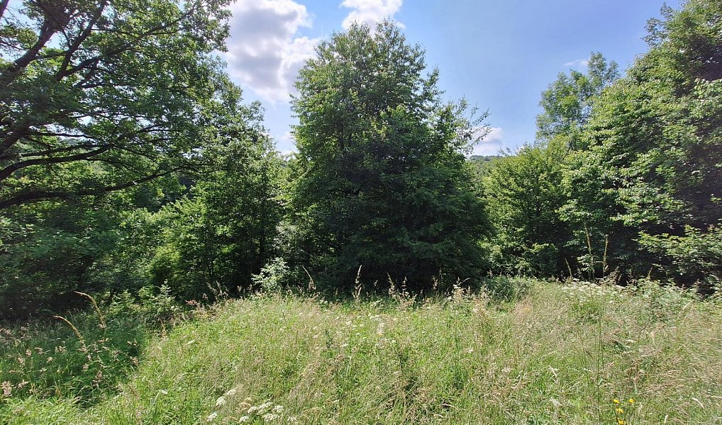 Prodej domu 80 m² s pozemkem 18 929 m², Žítková – náhled fotky 16