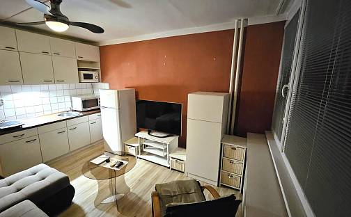 Pronájem bytu 1+kk 20 m², U Věžových domů, Most